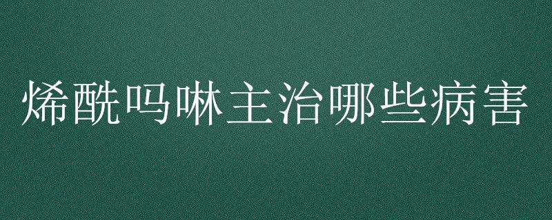 烯酰吗啉主治哪些病害
