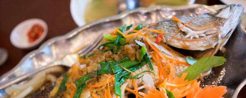 沙巴鱼是海鱼吗