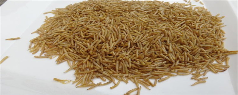 蝇蛆用什么农药杀死