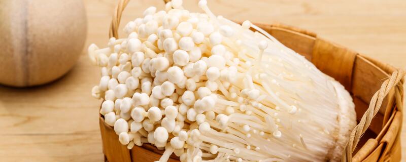 银针菇和金针菇的区别