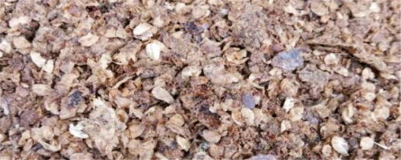 菜籽饼简单发酵方法