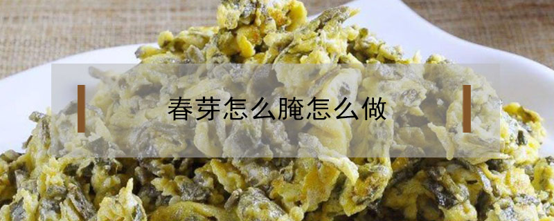 春芽怎么腌才好吃？