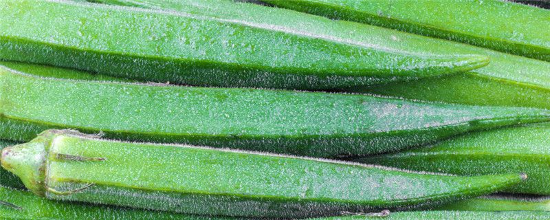 种植秋葵的方法与管理