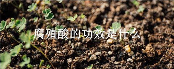 腐殖酸的功效是什么