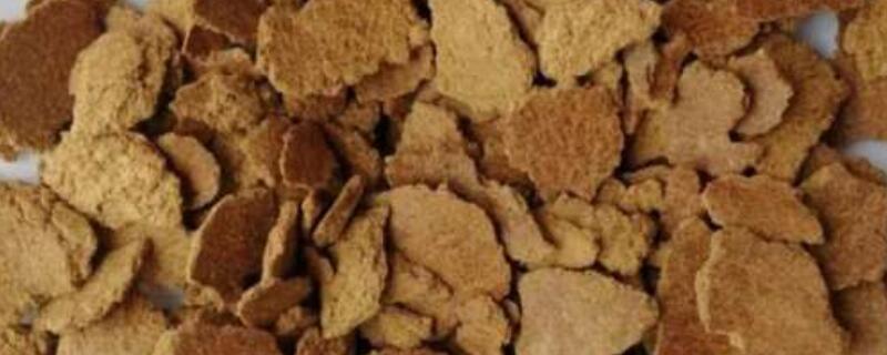 腐熟的豆饼水怎样弄
