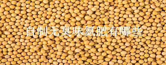 自制无臭味氮肥有哪些