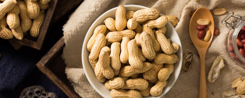 花生主要生长在哪里