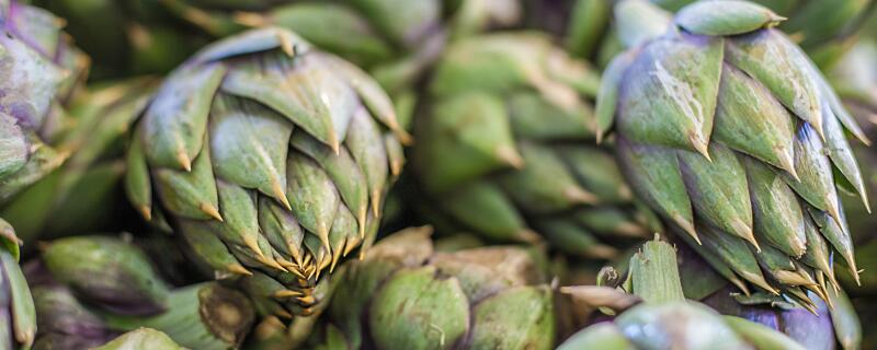 洋百合种植注意事项