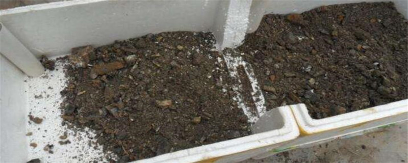 泡沫箱种植注意事项