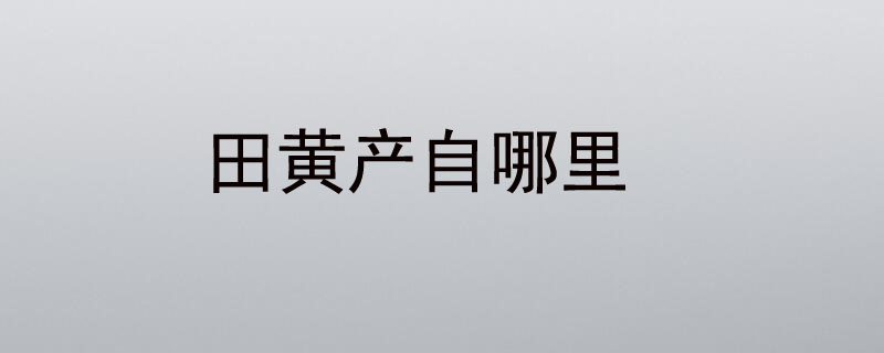 田黄产自哪里