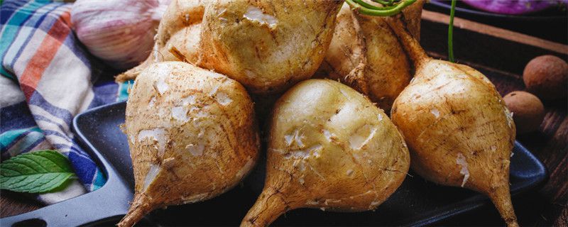 牧马山地瓜什么时候种植