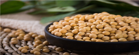 黄豆发酵后变黑色原因