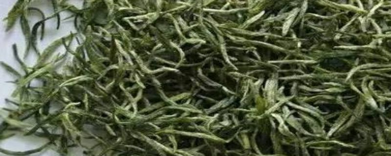 信阳毛尖是什么茶