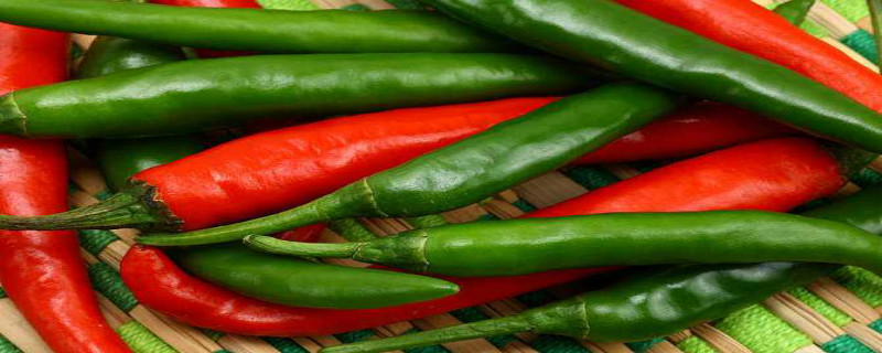 湖南辣椒生产技术要点