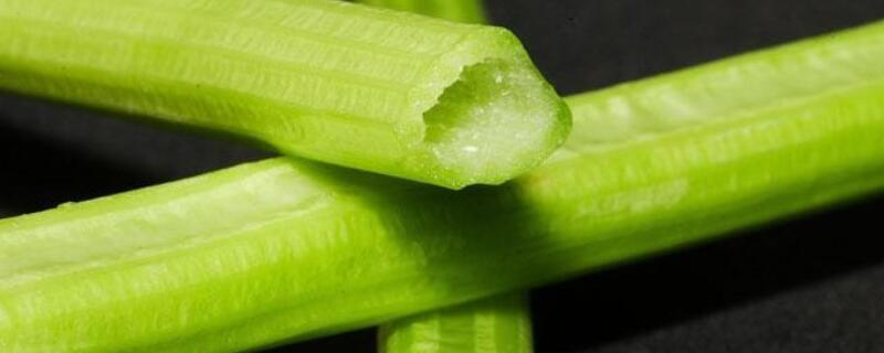 马家沟芹菜上市时间