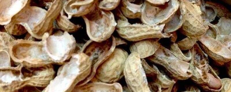 花生壳怎样腐熟发酵快