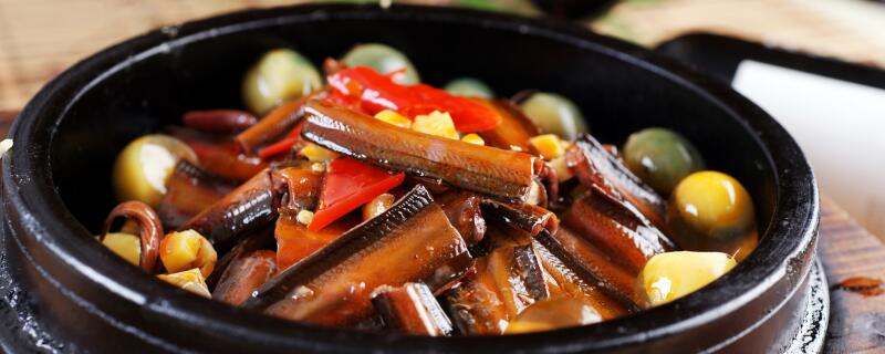 黄鳝养殖周期多长时间