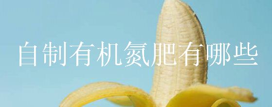 自制有机氮肥有哪些