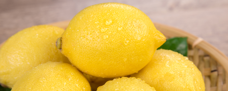柠檬长在哪里