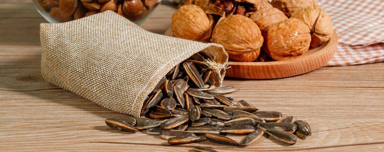 坚果是果实还是种子