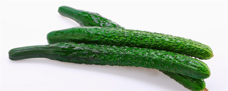 黄瓜是蔬菜还是水果