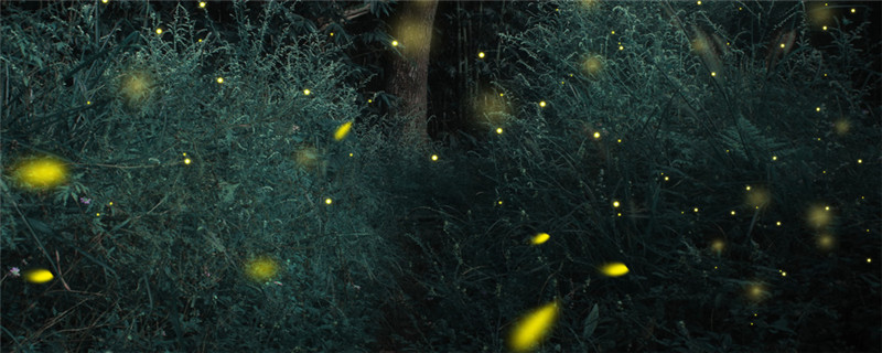 萤火虫用什么农药防治