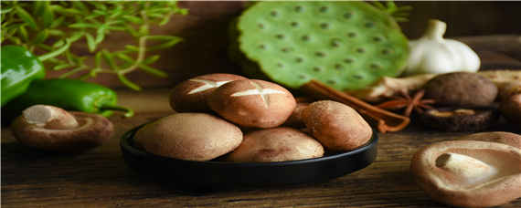 怎样挑选新鲜香菇