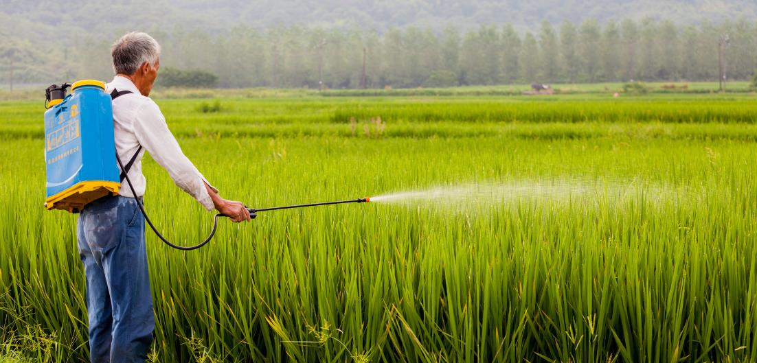 施肥过量怎么办