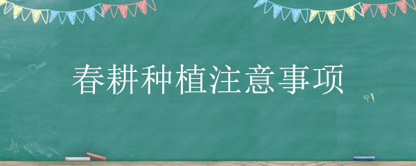 春耕种植注意事项