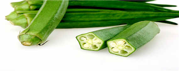 秋葵种子催芽方法