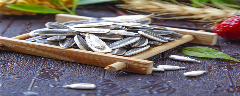 葵花籽什么时候播种