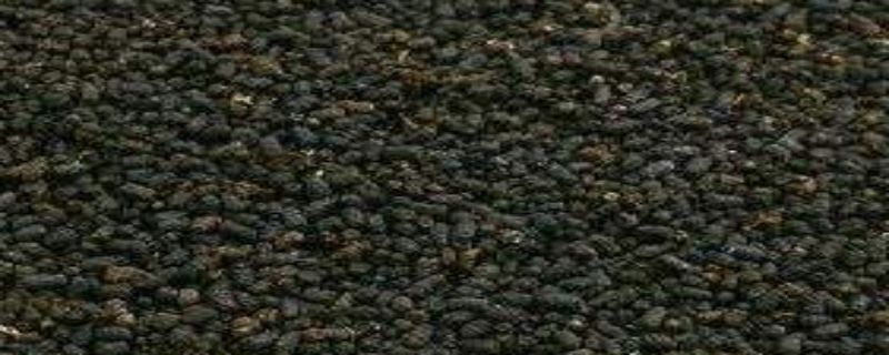 虫屎茶是什么茶