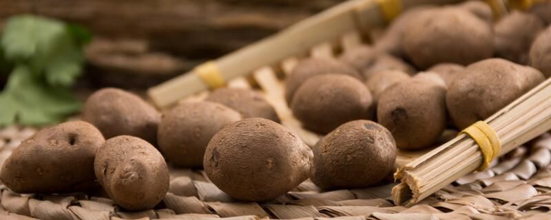 山药豆是种子还是果实