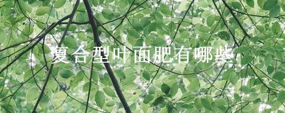 复合型叶面肥有哪些