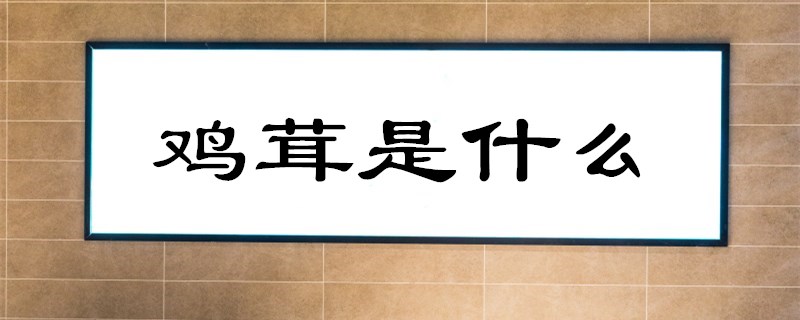 鸡茸是什么