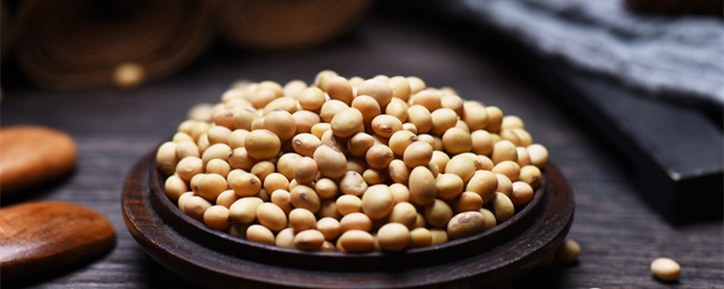 大豆生长周期