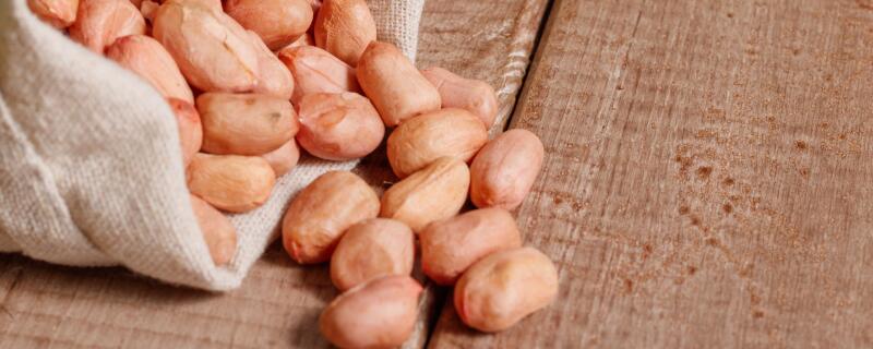 花生米是种子还是果实