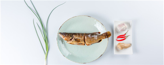 秋季养殖鳜鱼要注意什么