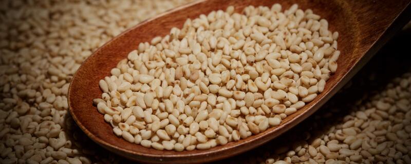 芝麻是种子还是果实呢