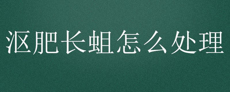 沤肥长蛆怎么处理