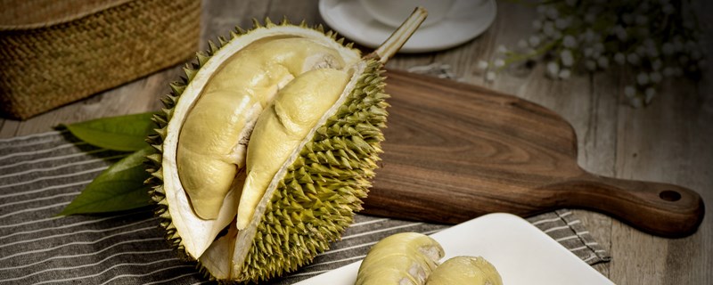 榴莲籽怎么种