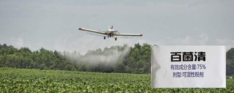 百菌清的作用和使用方法