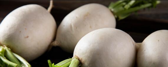 白萝卜的种植方法和时间