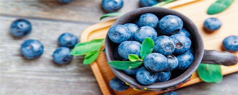 蓝莓是种子还是果实
