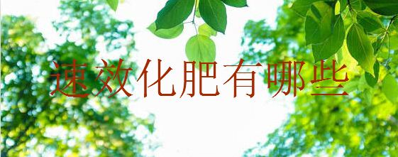 速效化肥有哪些