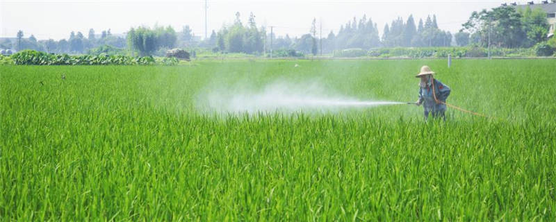 可立施防治什么虫