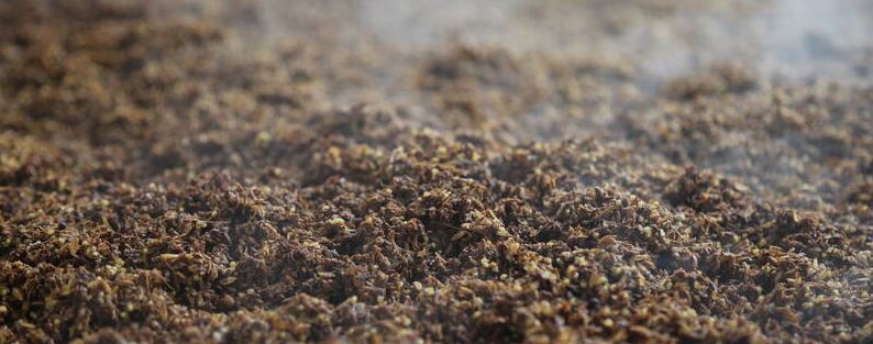 酒糟能做肥料吗