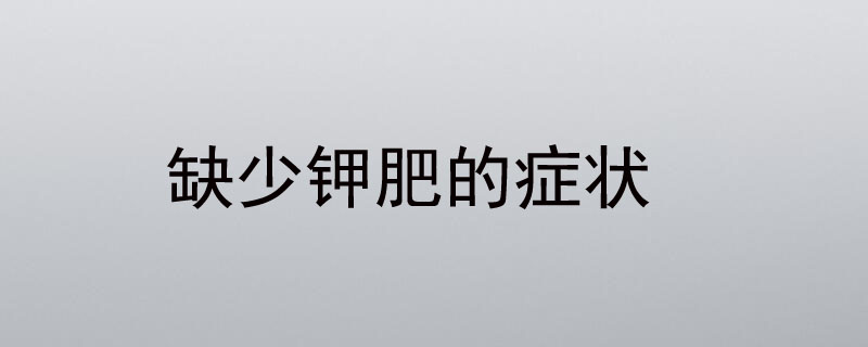 缺少钾肥的症状
