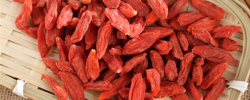 枸杞树多久挂果