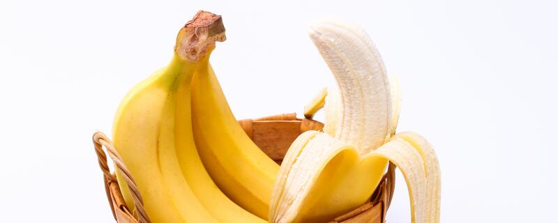 香蕉是秋天的果实吗